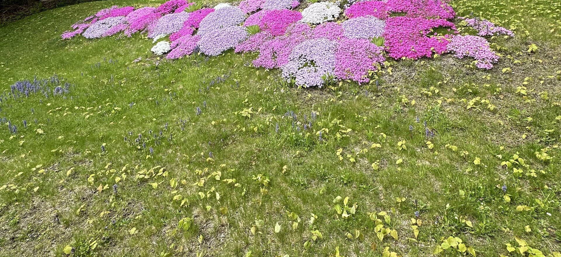 Garden Design & Installation