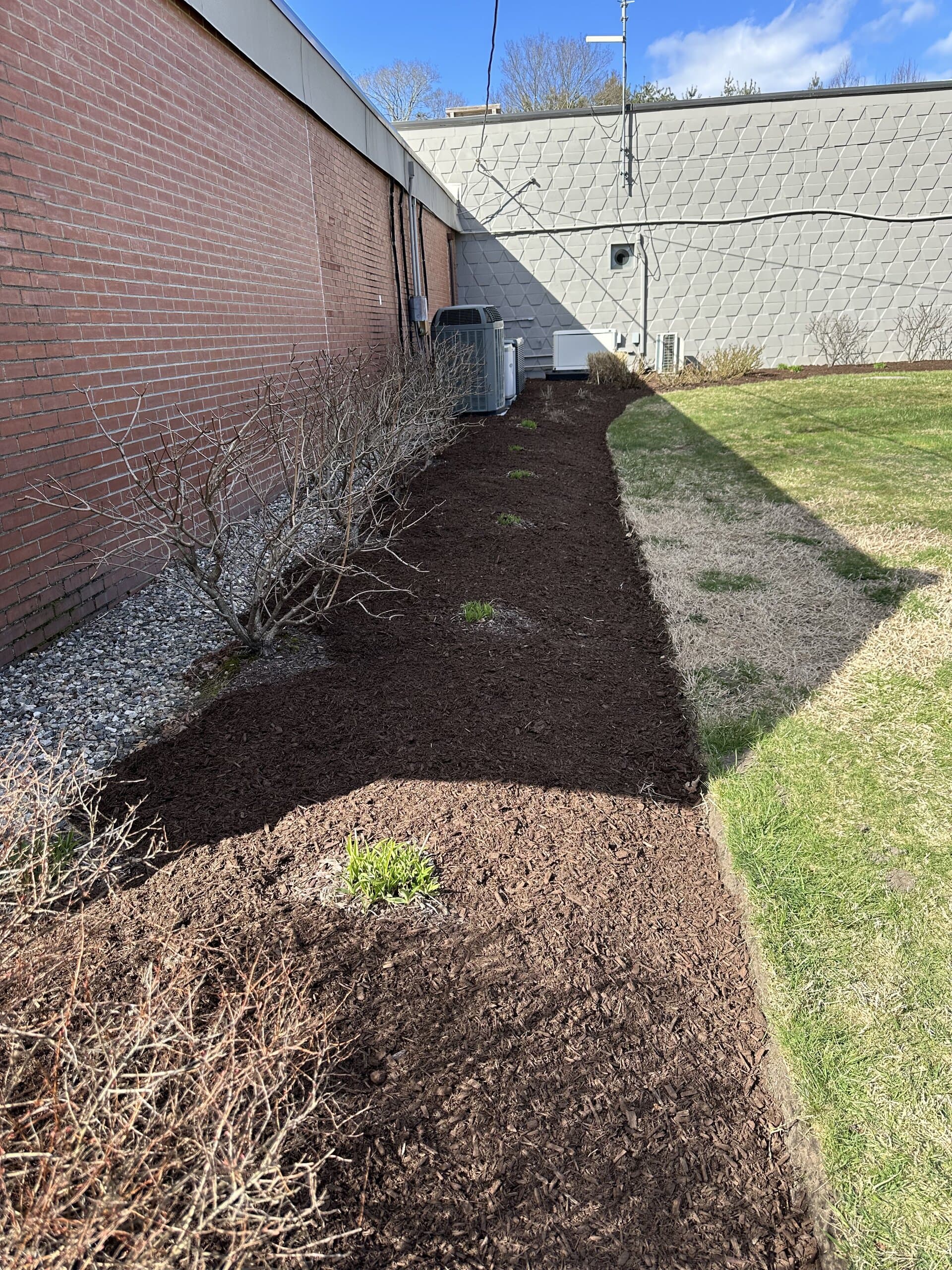 Mulched landscape bed along a commercial building