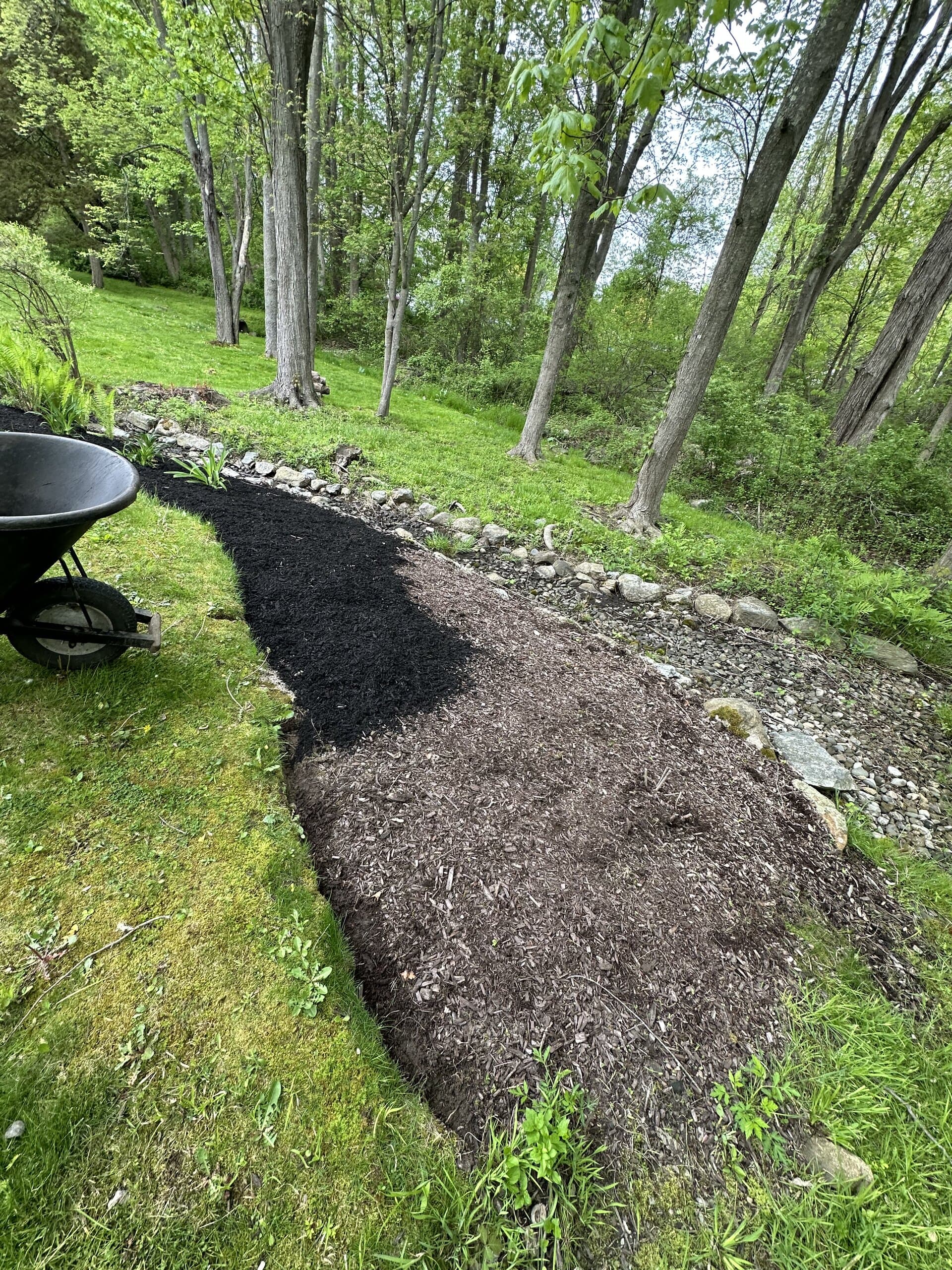 Seasonal Cleanup & Maintenance
